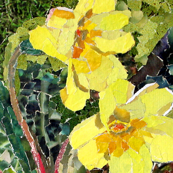 rame head amores cornwall